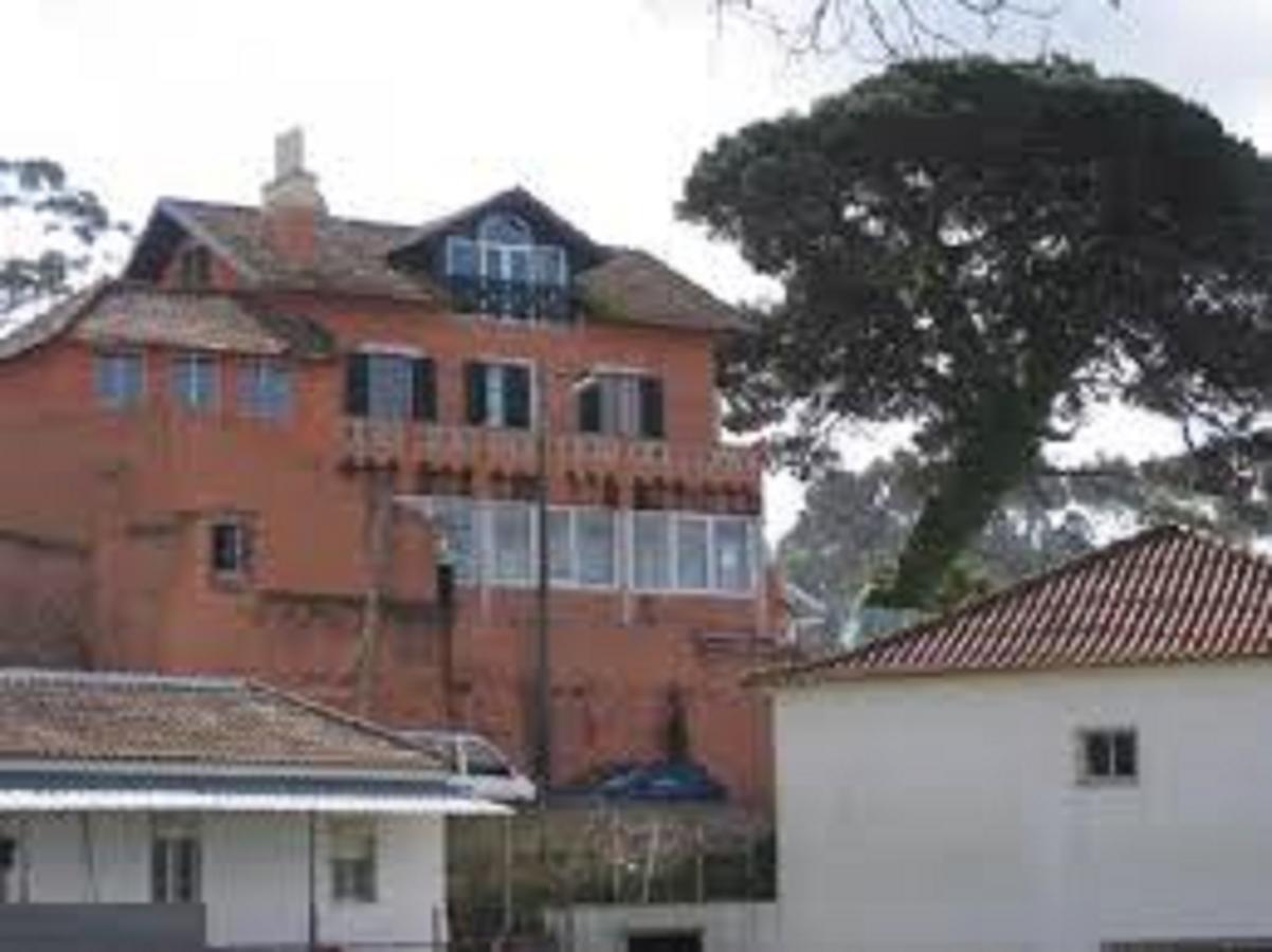 Shepinetree - Pinheira Hotell Vale de Lobos Exteriör bild