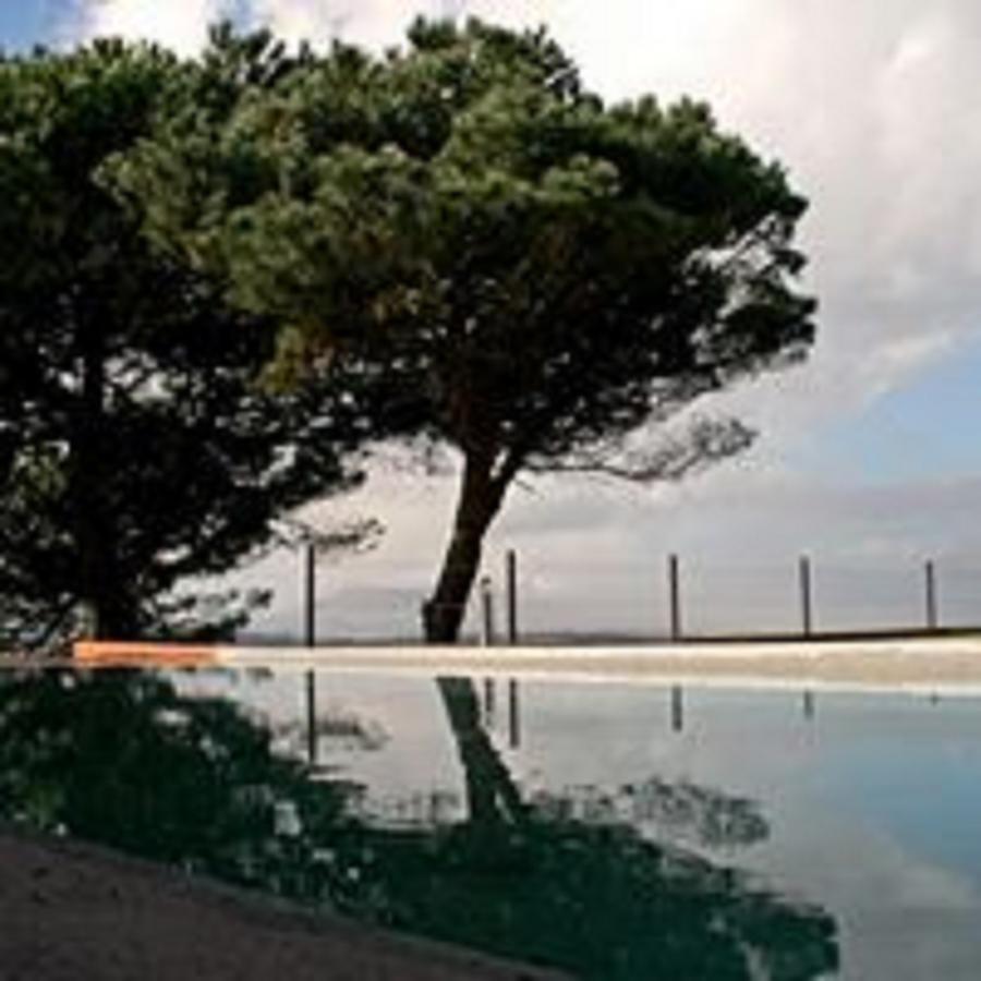 Shepinetree - Pinheira Hotell Vale de Lobos Exteriör bild